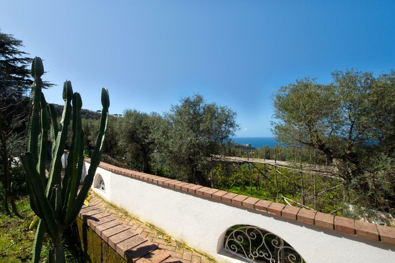 Villa Le Olivine Sorrento Bagian luar foto