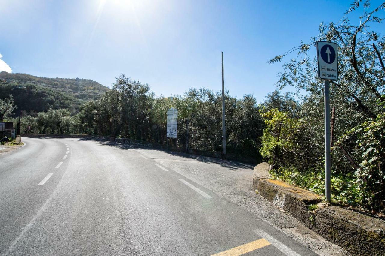 Villa Le Olivine Sorrento Bagian luar foto
