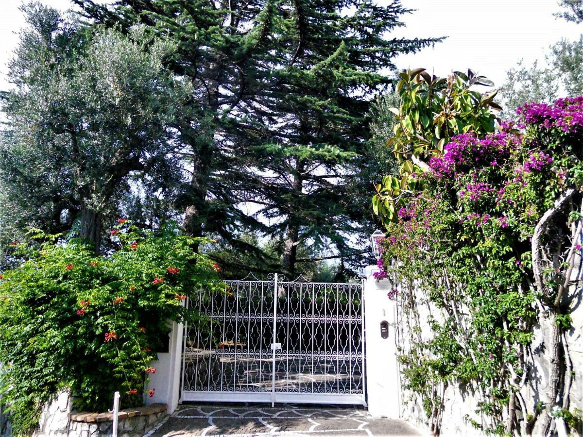 Villa Le Olivine Sorrento Bagian luar foto