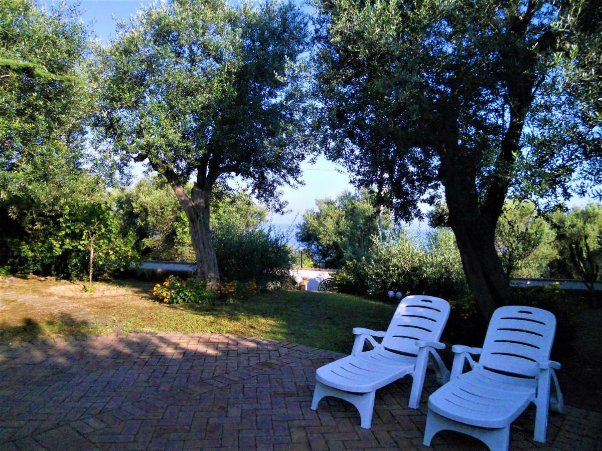 Villa Le Olivine Sorrento Bagian luar foto