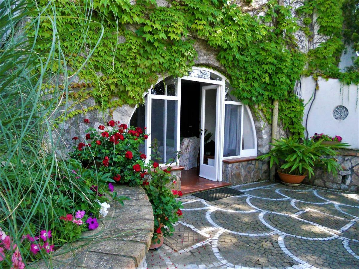 Villa Le Olivine Sorrento Bagian luar foto